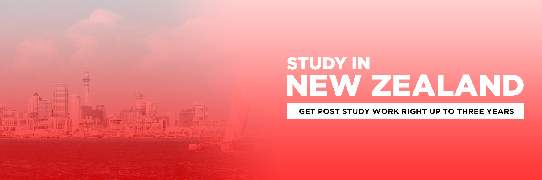 Study in New Zealand